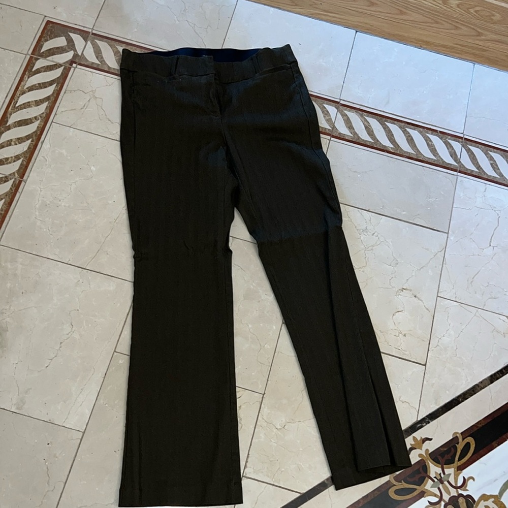 LANE BRYANT women’s suit pants